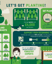 Infographic: Let's Get Planting!